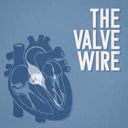 The Valve Wire seal